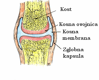 Bolovi u zglobovima nogu – uzrok i liječenje
